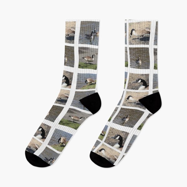 Item preview, Canadian Geese Bird Wildlife Collage designed and sold by JariHawk.