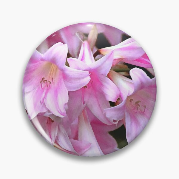 Item preview, Lovely Pink Belladonna Amaryllis Lilies Photo designed and sold by SeaChangeDesign.