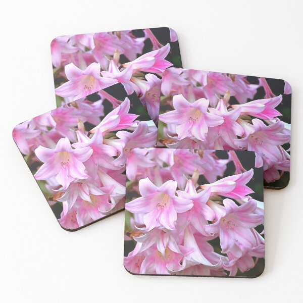 Item preview, Lovely Pink Belladonna Amaryllis Lilies Photo designed and sold by SeaChangeDesign.