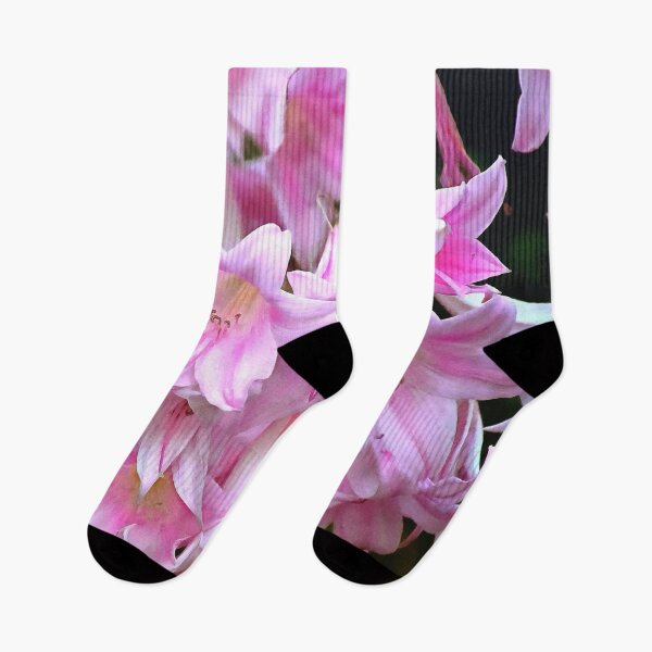 Item preview, Lovely Pink Belladonna Amaryllis Lilies Photo designed and sold by SeaChangeDesign.