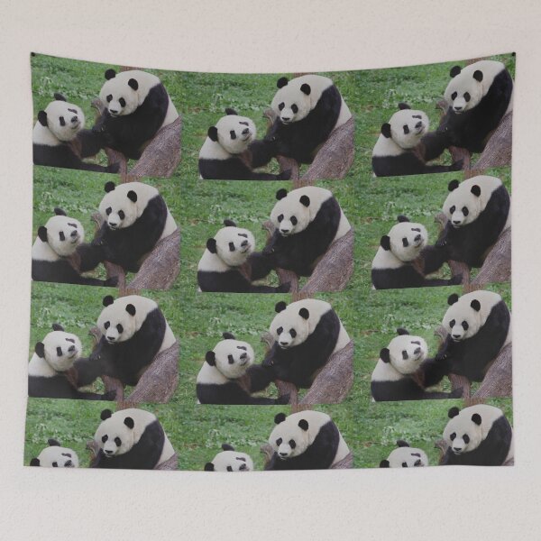 Item preview, Giant Pandas Tian Tian and Mei Xiang at the National Zoo designed and sold by Zoo and Nature Photography by Karie.