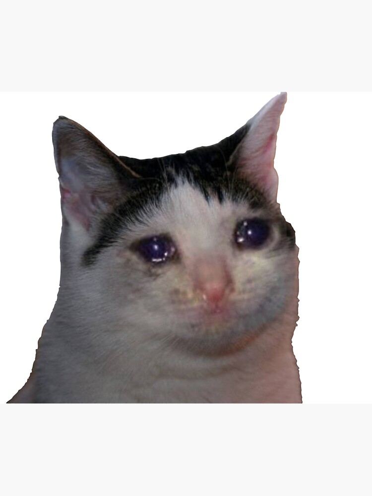 SAD CAT, MEME