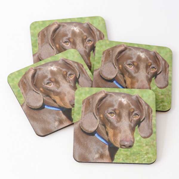 Item preview, Dachshund designed and sold by Frankie Cat Photography.