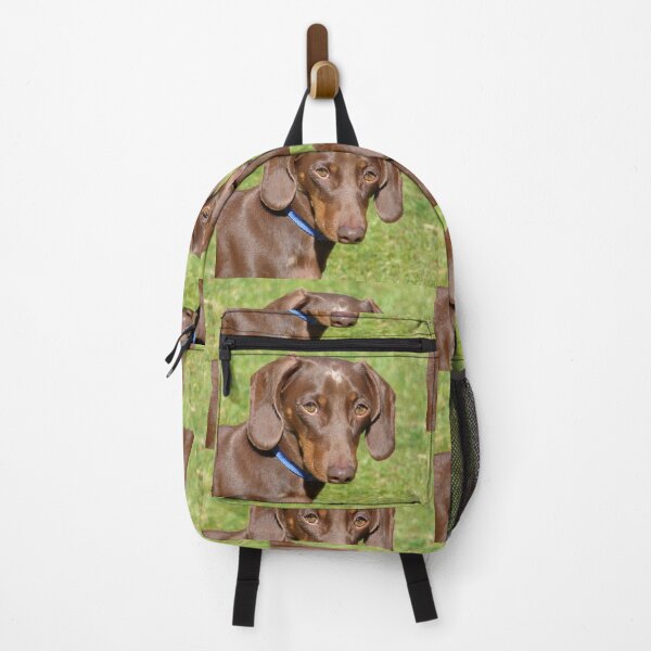 Item preview, Dachshund designed and sold by Frankie Cat Photography.