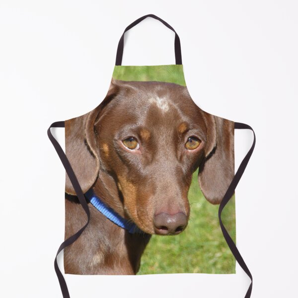 Item preview, Dachshund designed and sold by Frankie Cat Photography.