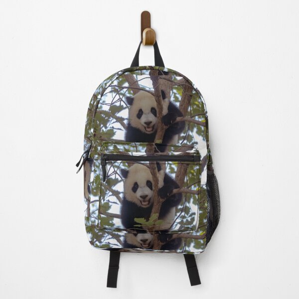 Item preview, Baby Panda Xiao Qi Ji at the National Zoo designed and sold by Zoo and Nature Photography by Karie.
