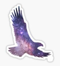 Night Hawk - Cosmic Sky Fill Sticker