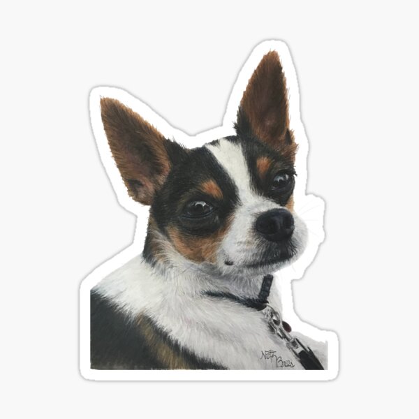 Mexican Chihuahua Merch & Gifts for Sale | Redbubble