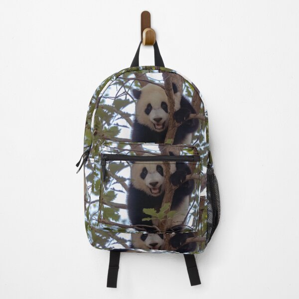 Item preview, Baby Panda Xiao Qi Ji at the National Zoo designed and sold by Zoo and Nature Photography by Karie.