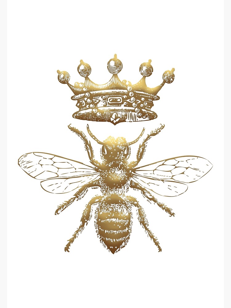 Queen Bee Poster Art Print, Bee Home Decor