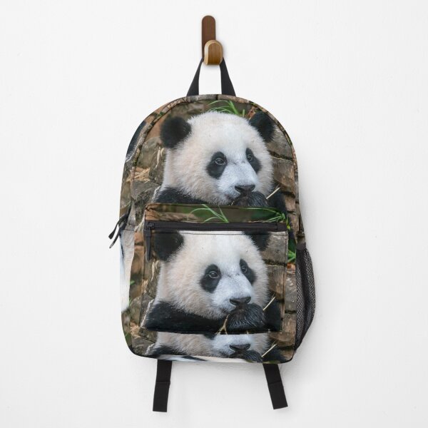 Item preview, Giant Panda Xiao Qi Ji at the National Zoo designed and sold by Zoo and Nature Photography by Karie.