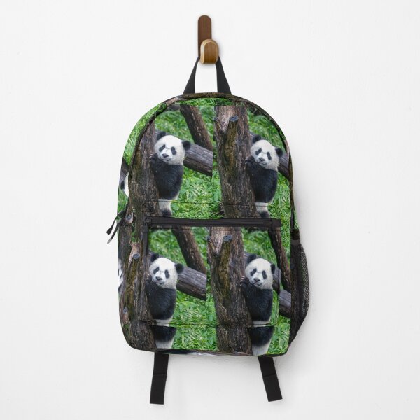Item preview, Giant Panda Xiao Qi Ji at the National Zoo designed and sold by Zoo and Nature Photography by Karie.