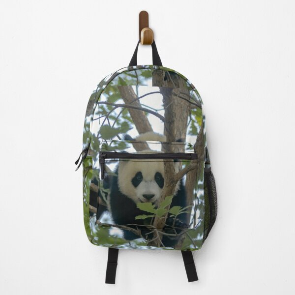 Item preview, Baby Panda Xiao Qi Ji at the National Zoo designed and sold by Zoo and Nature Photography by Karie.