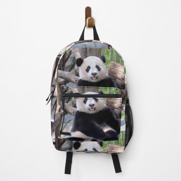 Item preview, Giant Panda Xiao Qi Ji at the Smithsonian's National Zoo designed and sold by Zoo and Nature Photography by Karie.