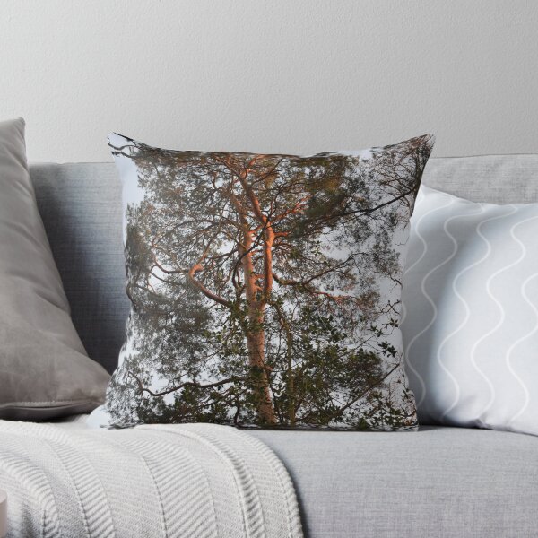 Sunset Tree Throw Pillow