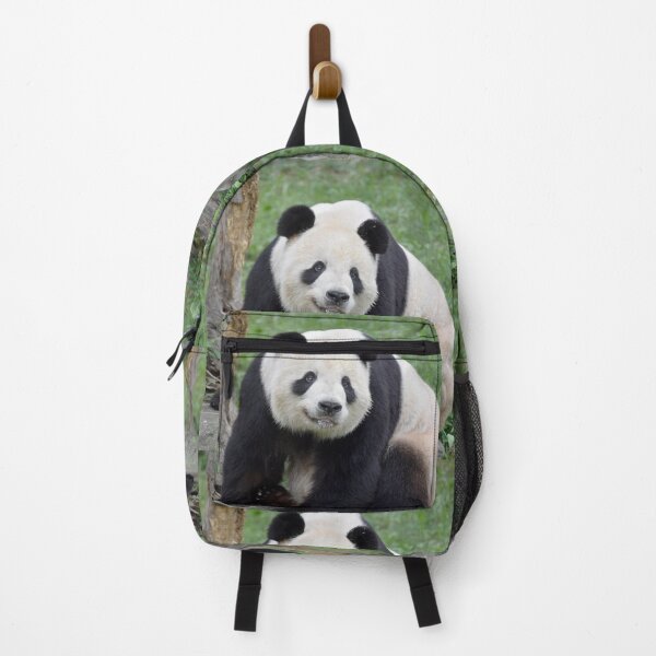 Item preview, Giant Panda Tian Tian at the National Zoo designed and sold by Zoo and Nature Photography by Karie.