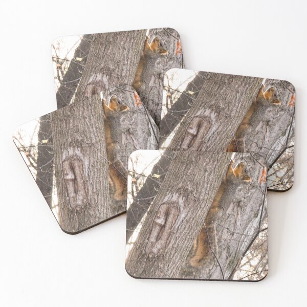 Item preview, Squirrel!  designed and sold by MissJades.