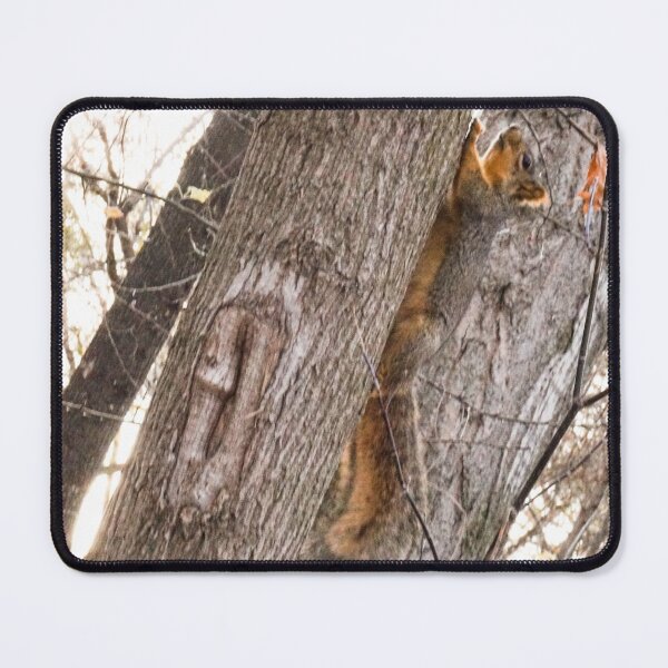 Item preview, Squirrel! designed and sold by MissJades.