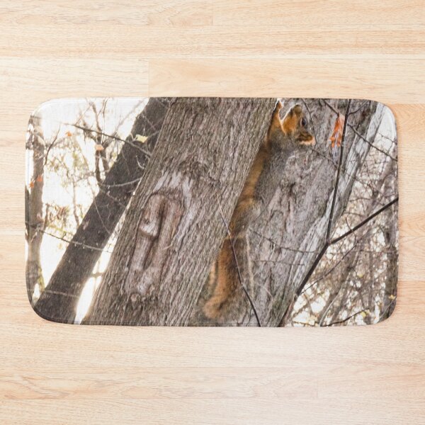 Item preview, Squirrel!  designed and sold by MissJades.