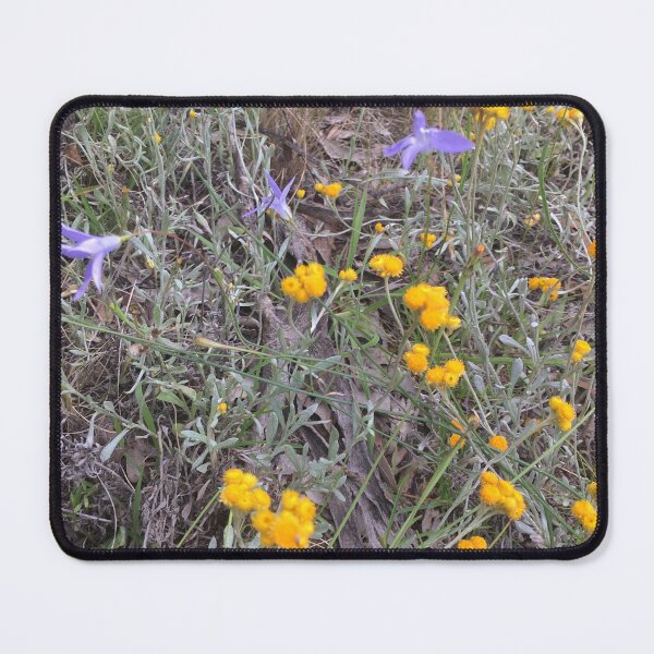 Item preview, Monaro Valley. Spring native flowers designed and sold by RogerRoy.