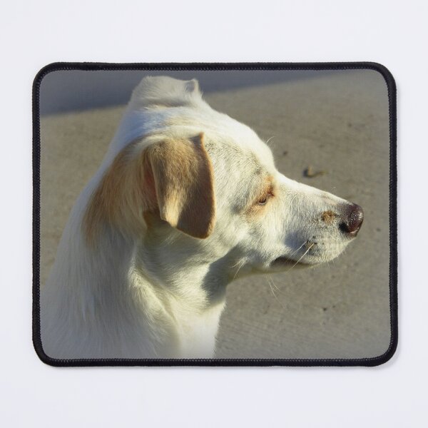 Item preview, Thoughtful dog designed and sold by LeRoyM.