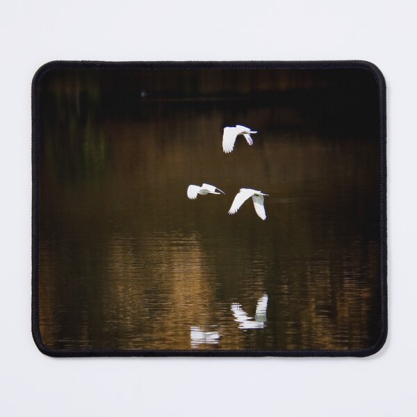 Item preview, Reflected Birds designed and sold by Rob Beckett.
