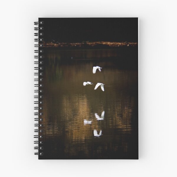 Item preview, Reflected Birds designed and sold by Rob Beckett.