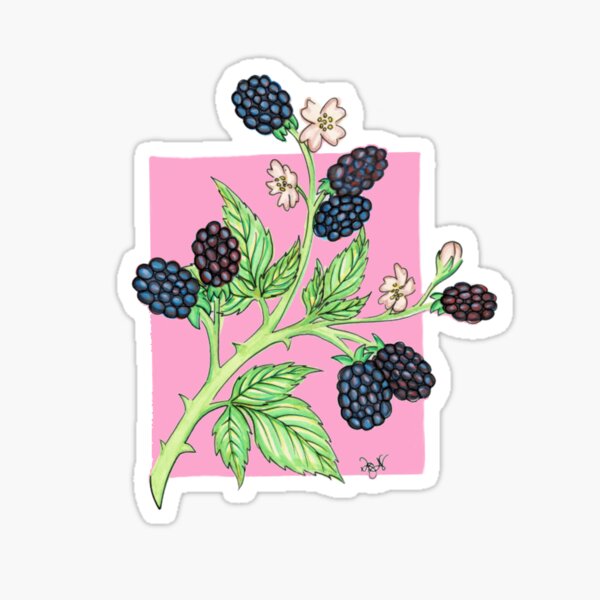 Item preview, blackberry designed and sold by eyerobertson.