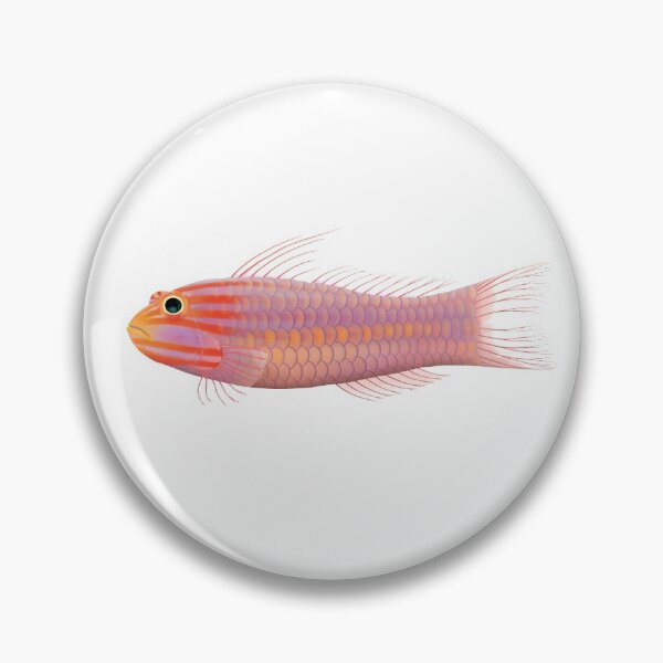 Item preview, Gobio pigmeo designed and sold by SeaMonstress.