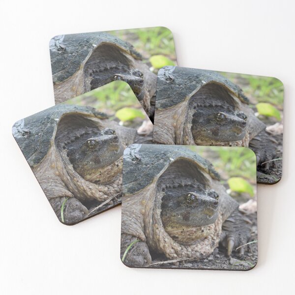 Item preview, Common Snapping Turtle Print designed and sold by Paul-Prints.