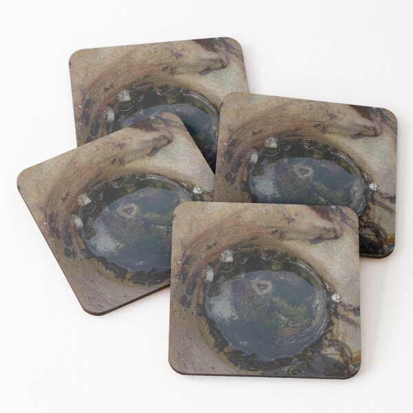 Item preview, Rock Pool with Sea Anemone designed and sold by scholara.