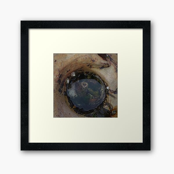 Item preview, Rock Pool with Sea Anemone designed and sold by scholara.