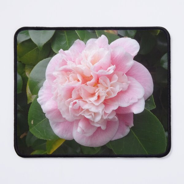 Item preview, Luminous  designed and sold by scholara.