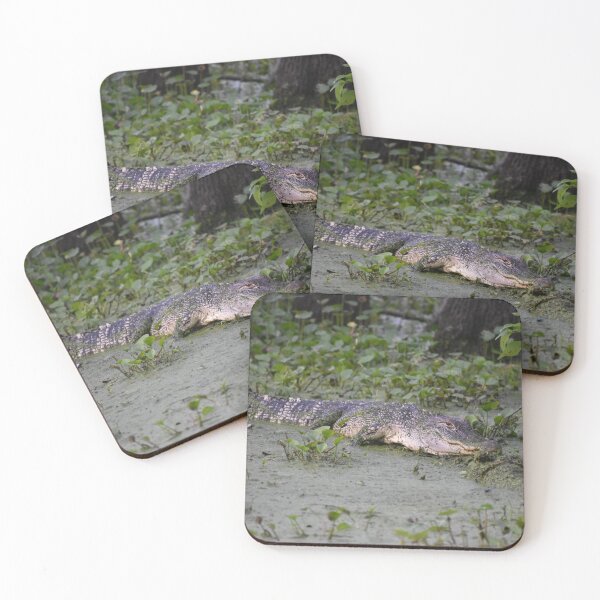 Item preview, American Alligator Print designed and sold by Paul-Prints.