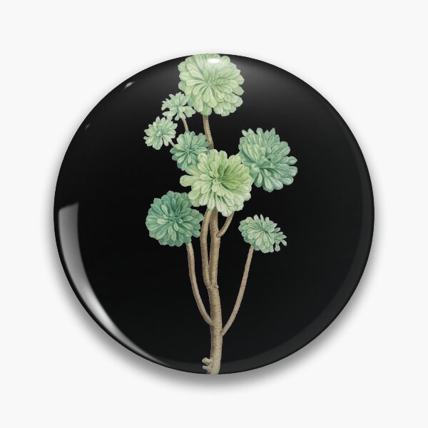 Item preview, Sempervivum Arboreum designed and sold by TTOLEDO10K.
