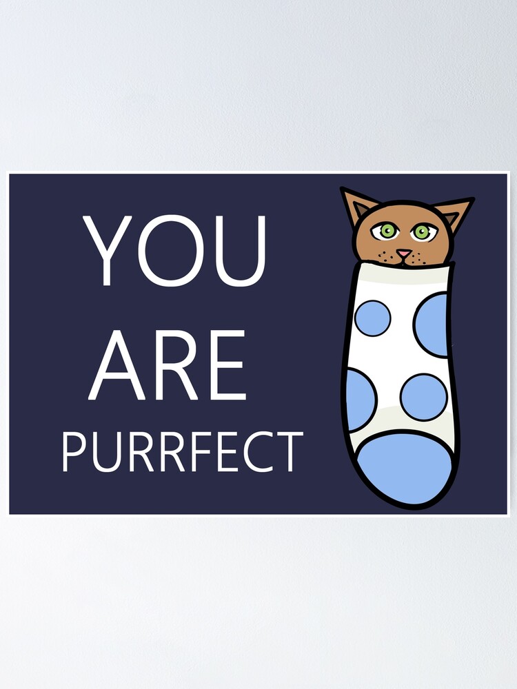 " You are purrfect cat drawing" Poster for Sale by BeccaKenDesigns