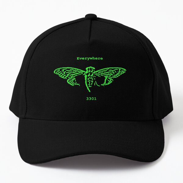 Cicada 3301 Baseball Cap