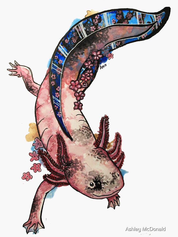 el axolotl de ashleymcd