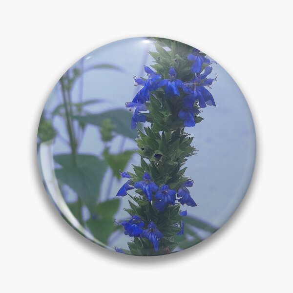 Item preview, Chia seeds designed and sold by AnaRakanovic.