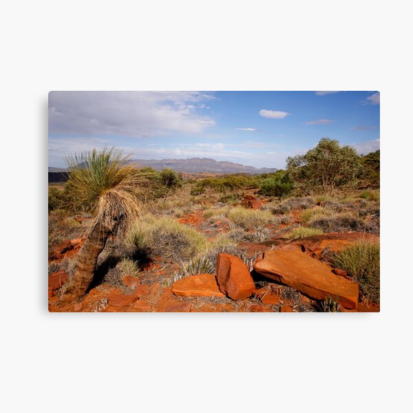 "Australian Outback Desert Landscape" Canvas Print for Sale by