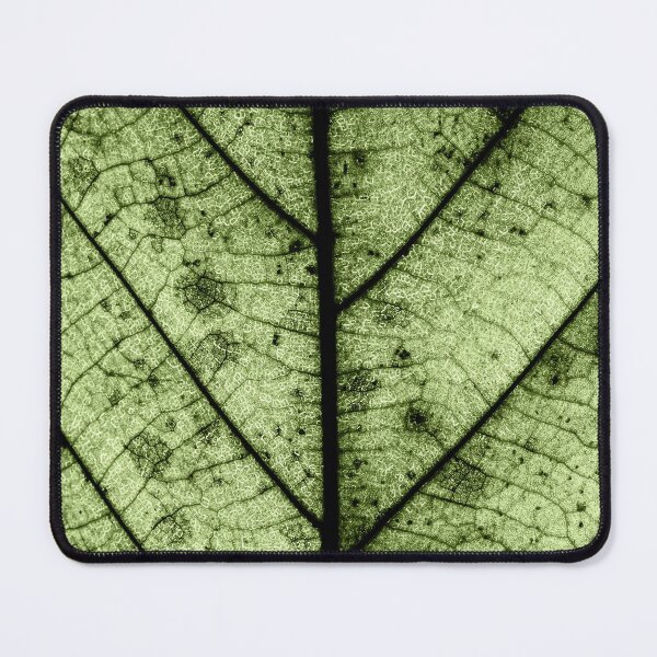 Item preview, Macro Close Up Leaf Leaves Photo with Veins designed and sold by BilgePaksoylu.