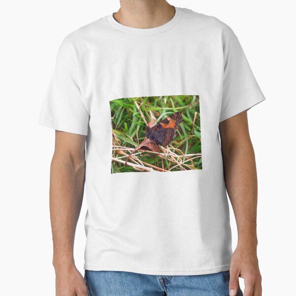 Item preview, 'Stretching Upwards' designed and sold by John Weeks.