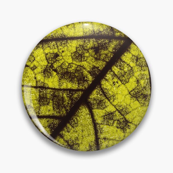 Item preview, Macro Close Up Leaf Leaves Photo with Veins designed and sold by BilgePaksoylu.