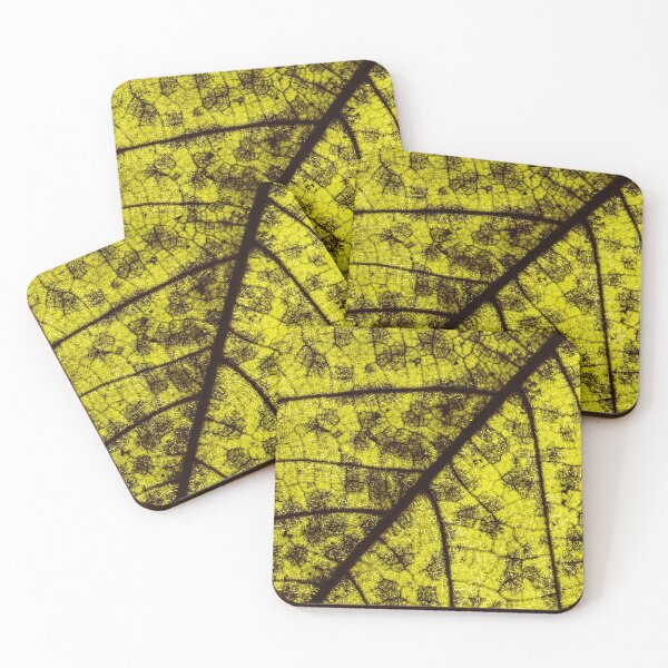 Item preview, Macro Close Up Leaf Leaves Photo with Veins designed and sold by BilgePaksoylu.