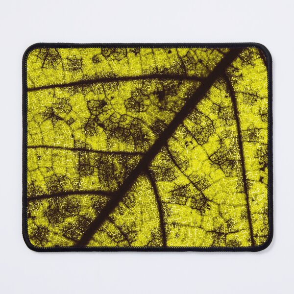 Item preview, Macro Close Up Leaf Leaves Photo with Veins designed and sold by BilgePaksoylu.
