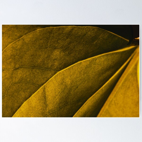 Item preview, Macro Close Up Leaf Leaves Photo with Veins designed and sold by BilgePaksoylu.