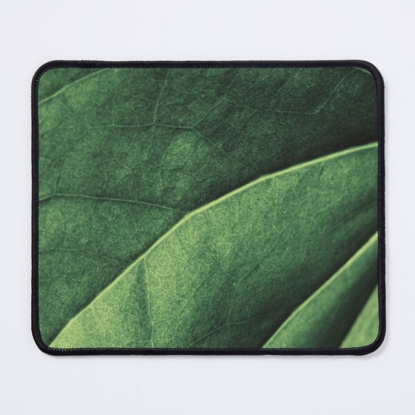 Item preview, Macro Close Up Leaf Leaves Photo with Veins designed and sold by BilgePaksoylu.