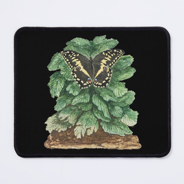 Item preview, Papilio demodocus designed and sold by TTOLEDO10K.