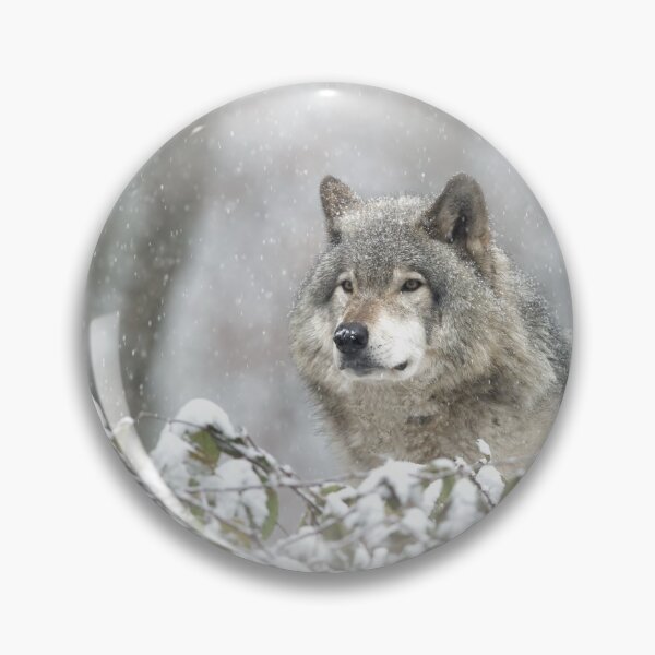 Item preview, Timber Wolf designed and sold by WolvesOnly.