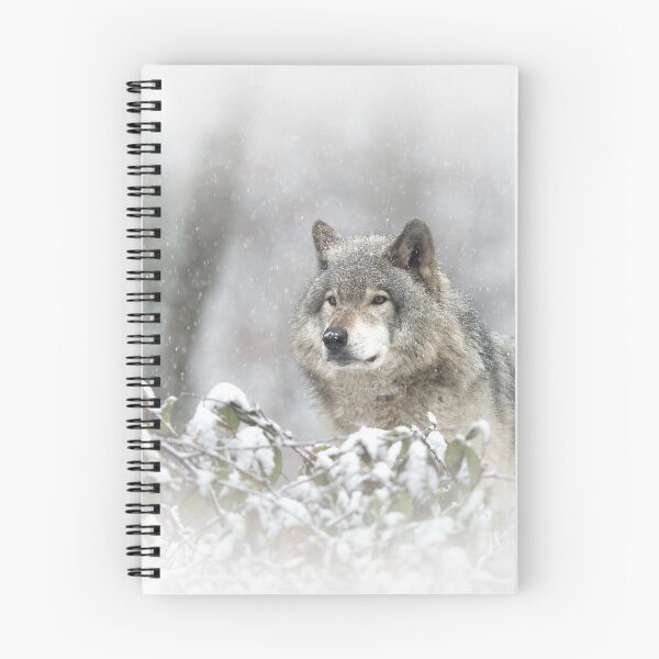 Item preview, Timber Wolf designed and sold by WolvesOnly.